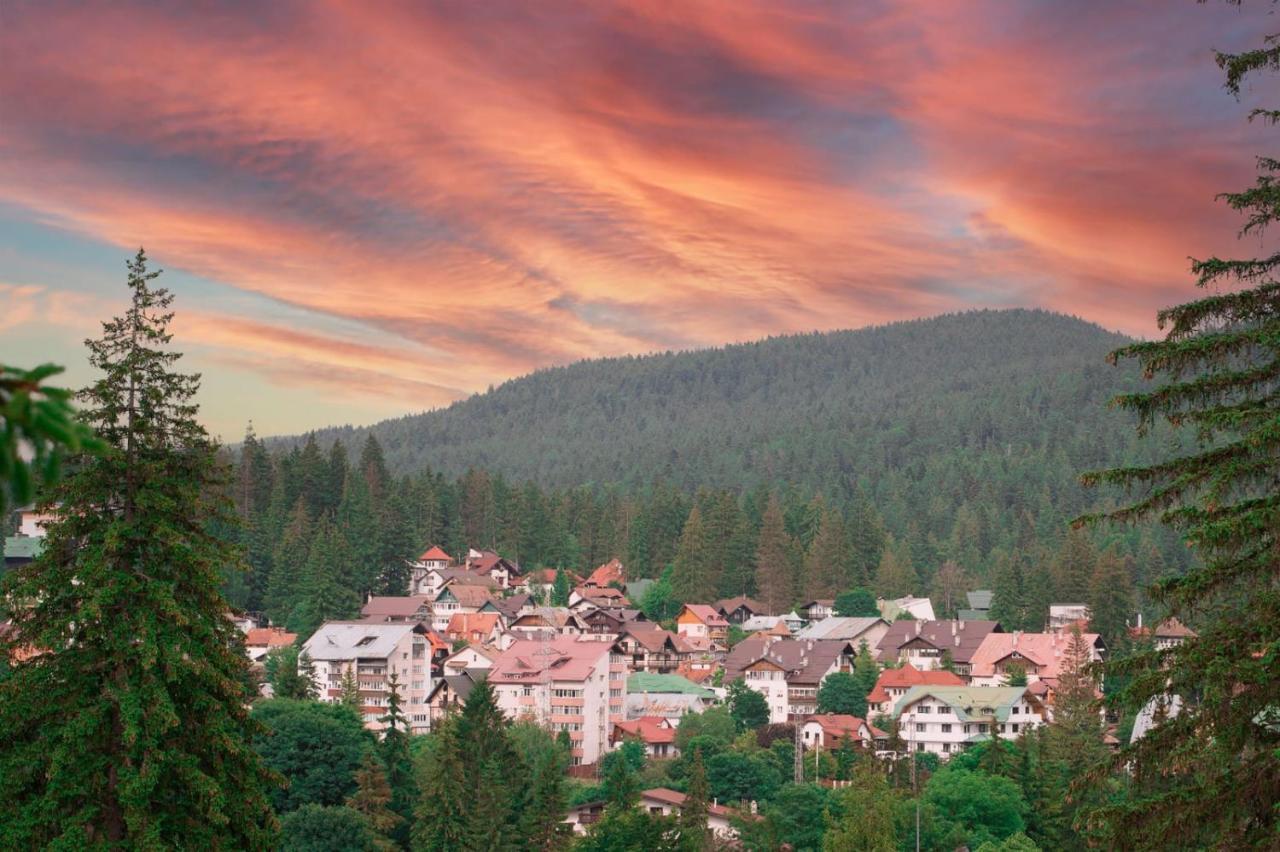 Vila Luna Predeal Exteriér fotografie